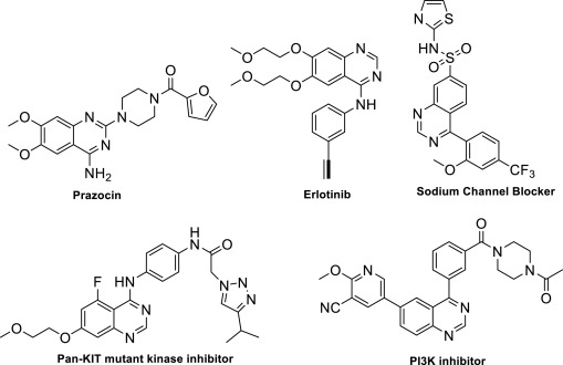 Erlotinib